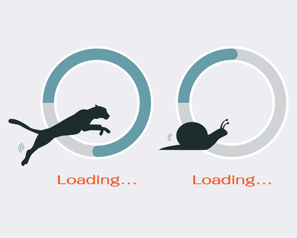 Website speed load time progress bars